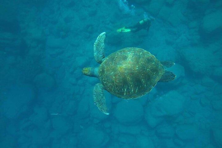 Bautizo de Buceo en Teneriffa