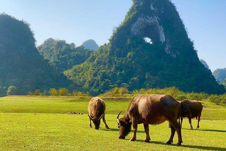 3 giorni esplora il lago Ba Be e la cascata Ban Gioc da Hanoi