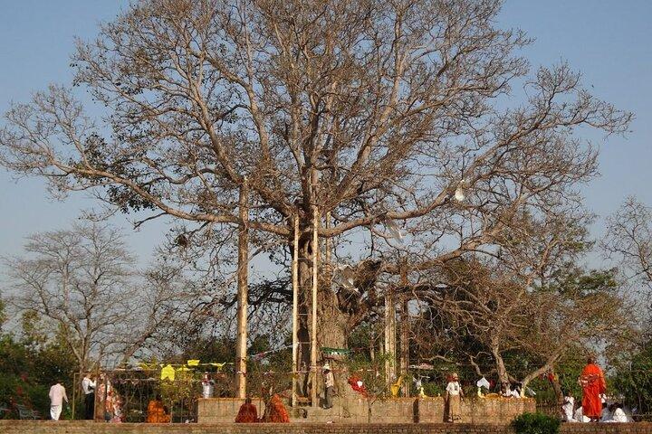 Peregrinação ao Mosteiro de Jetavana: Lucknow a Shravasti Day Trip