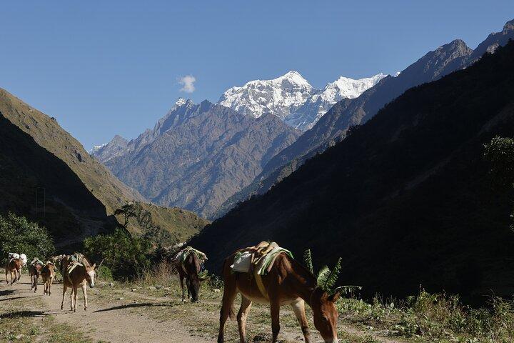 15 Tage Manaslu Circuit Trek