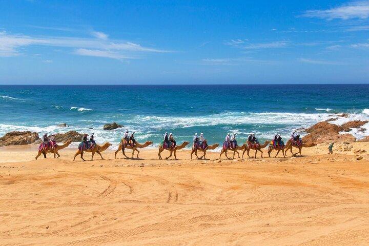 2-stündiges Kamelritt-Strand- und Wüstenabenteuererlebnis