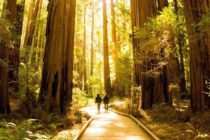 Visite de Muir Woods et Sausalito + visite à arrêts multiples