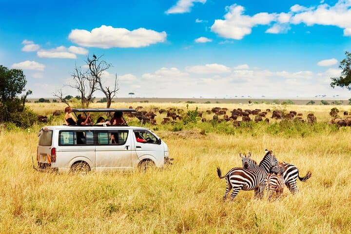 5 Days Masai Mara, Lake Nakuru & Naivasha Budget Joining Safari