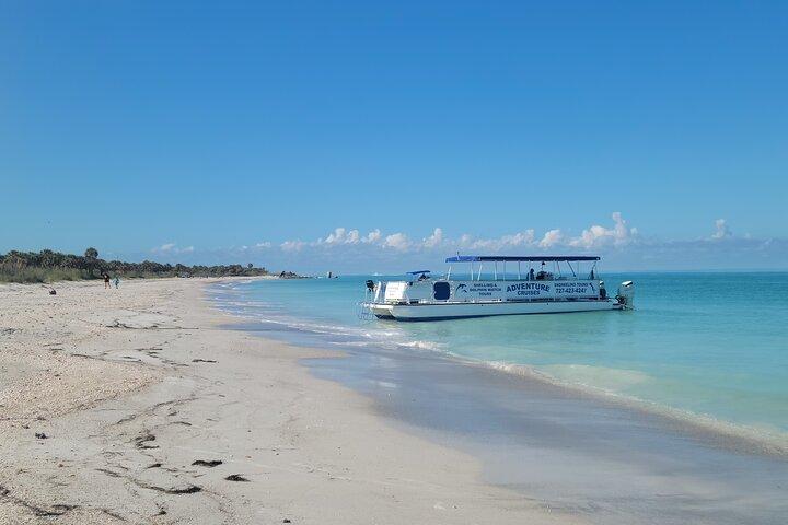 Dolphin / Shelling / Snorkeling tours Private Charters