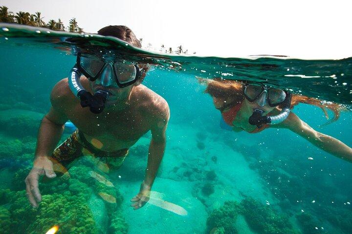 São Miguel Azzorre: Escursioni e snorkeling nella natura selvaggia con un locale