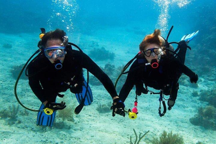Activité de plongée sous-marine à Dubaï avec prise en charge à l'hôtel