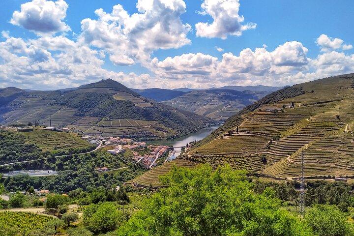 Douro Valley Day Trip: 2 Wineries, Private Boat & Authentic Lunch