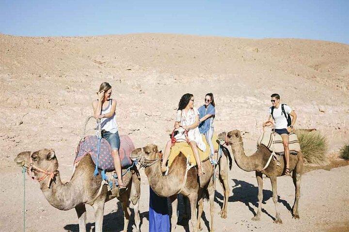 Agafay Sunset Tour with Camel Ride and Tea in a Nomad’s Tent