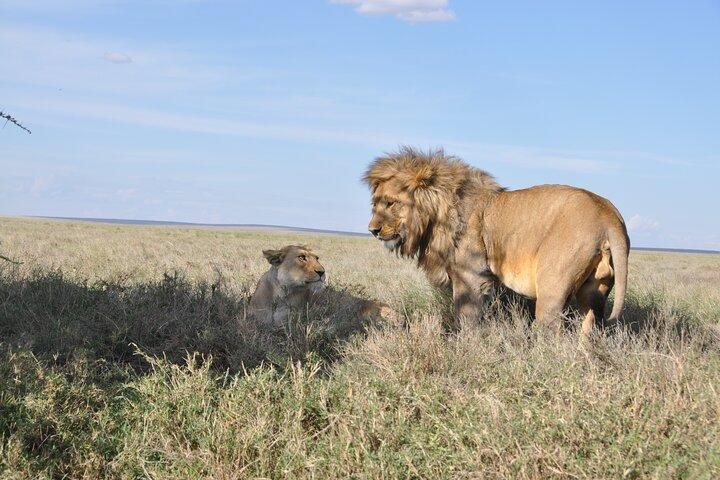 Privat 3 dages luksussafari (Tarangire & Ngorongoro krater)