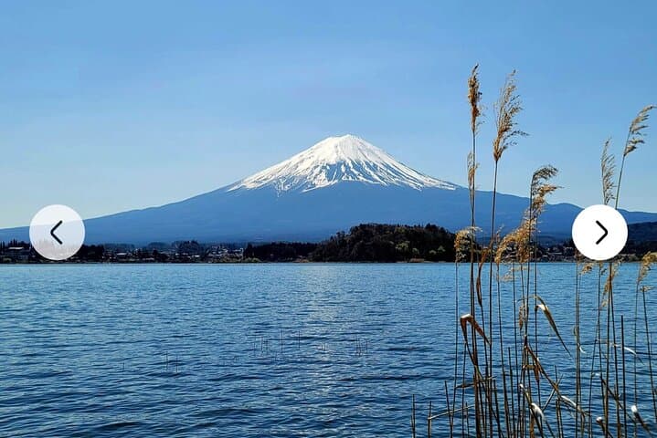 Mt. Fuji, Hakone Full-Day Private Tour with English Driver Guide