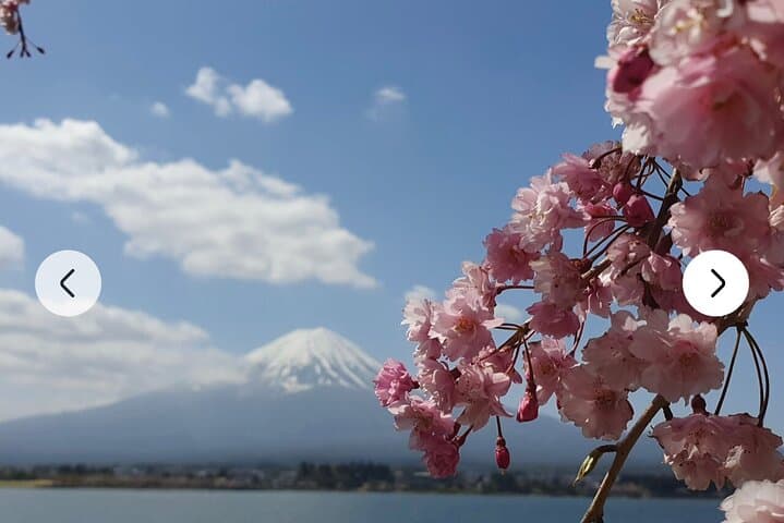Mt. Fuji, Hakone Full-Day Private Tour with English Driver Guide