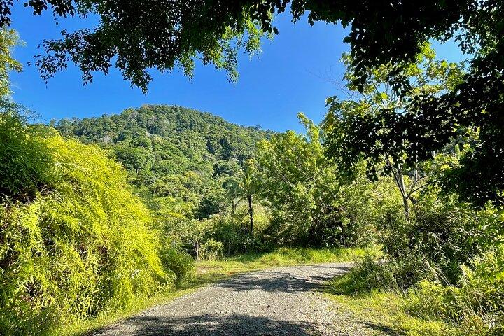 Esquipulas Rainforest - Privat Fuglekigning - Fuldt tilpasselig tur