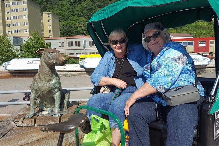 Excursão Privada Juneau Pedicab Cinco Estrelas