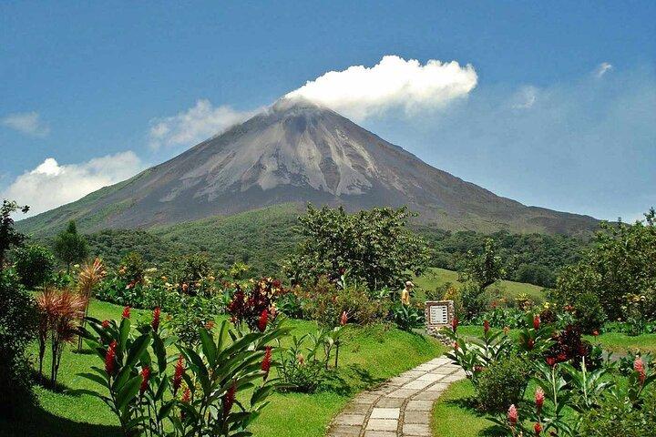 Excursão privada ao Parque Místico, Vulcão Arenal e Termas de Baldi
