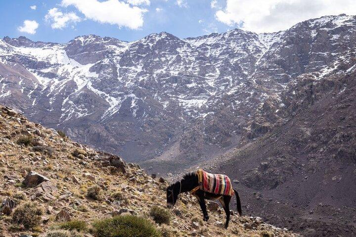 2-Day private Toubkal Trek from Marrakech