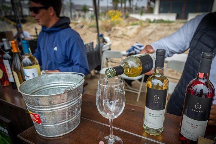Private Boutique-Weintour im Valle de Guadalupe