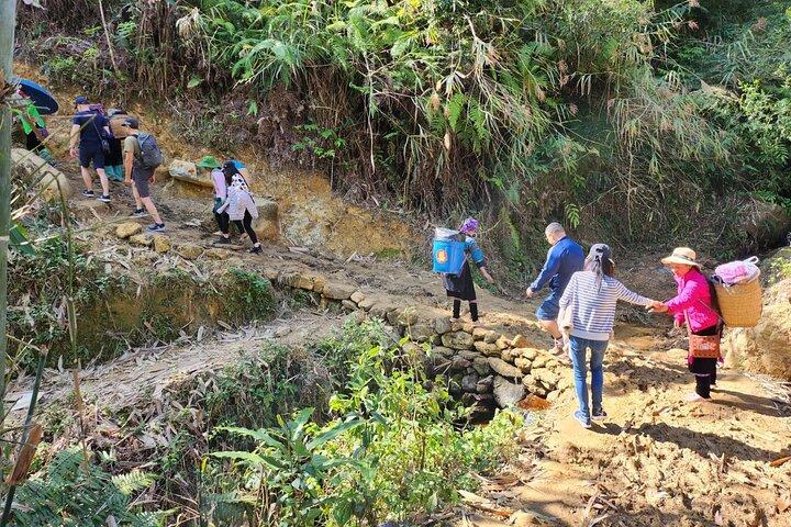 5-stündige private Trekking-Bambuswaldtour im Muong Hoa-Tal
