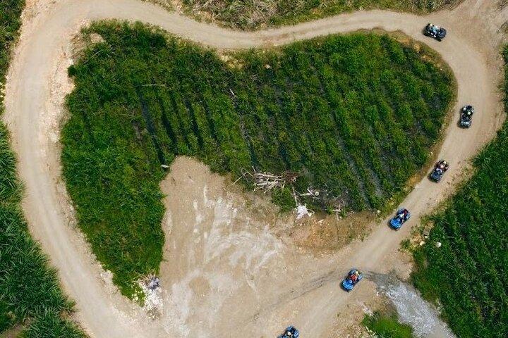 Privat ATV Ride 7 Mile Beach & Rick's Café Negril Tour
