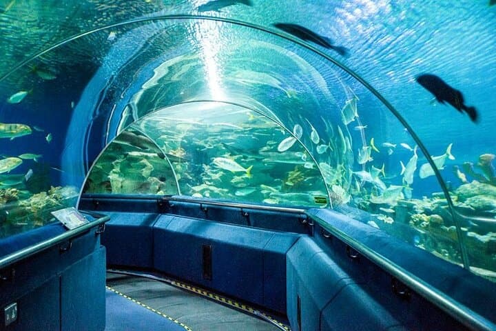 Malaysia: Aquaria KLCC Admission E-Ticket