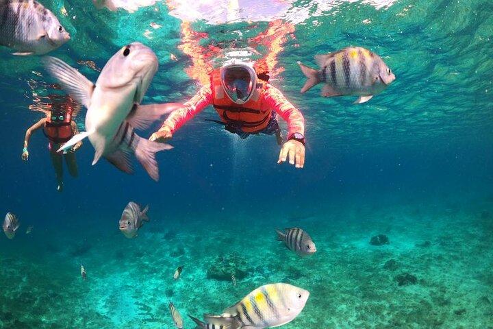 Entrada oficial Chankanaab Park e snorkeling com almoço