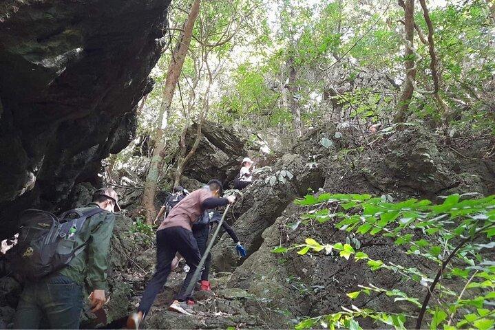 Full-Day Cuc Phuong National Park Hiking Tour