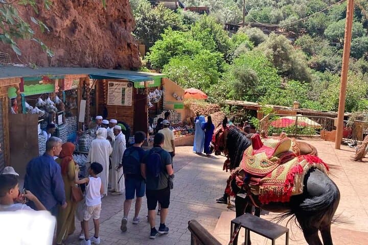 marrakech : day trip to ouzoud waterfalls