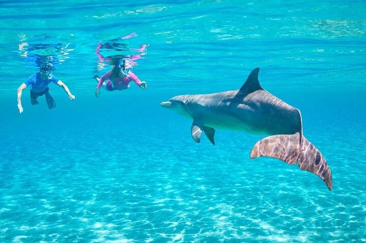 Dolphin House, Hurghada