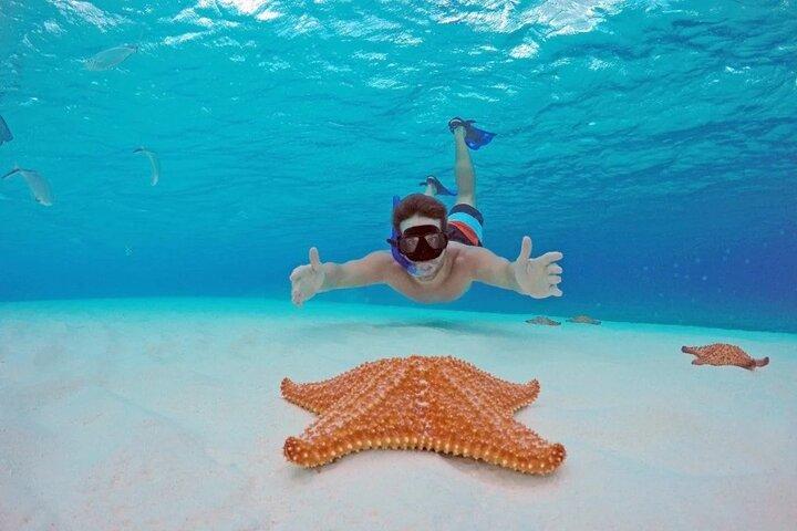 Cozumel Underwater Wonders: El Cielo Sandbank & Reef Snorkling