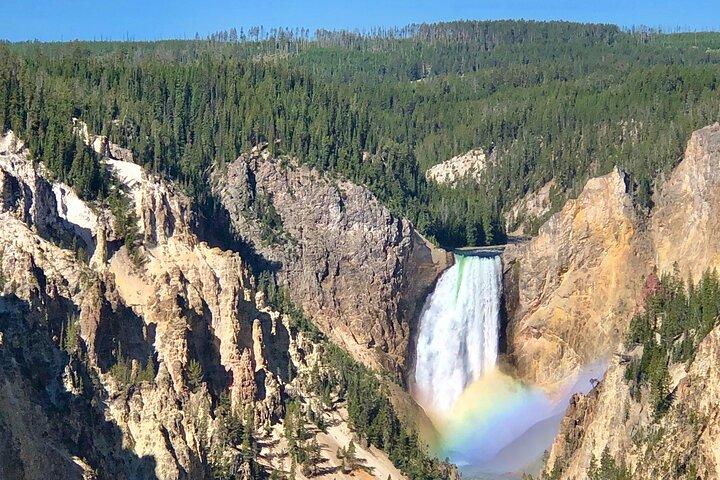 Tour privado de Yellowstone: sitios ICÓNICOS, vida silvestre, caminatas para toda la familia + almuerzo