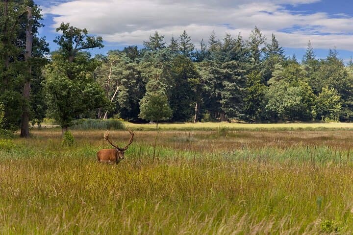 Kröller Müller Museum( Van Gogh Special) & Veluwe National Park