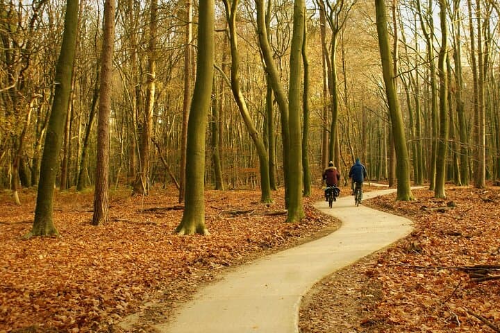 Kröller Müller Museum( Van Gogh Special) & Veluwe National Park