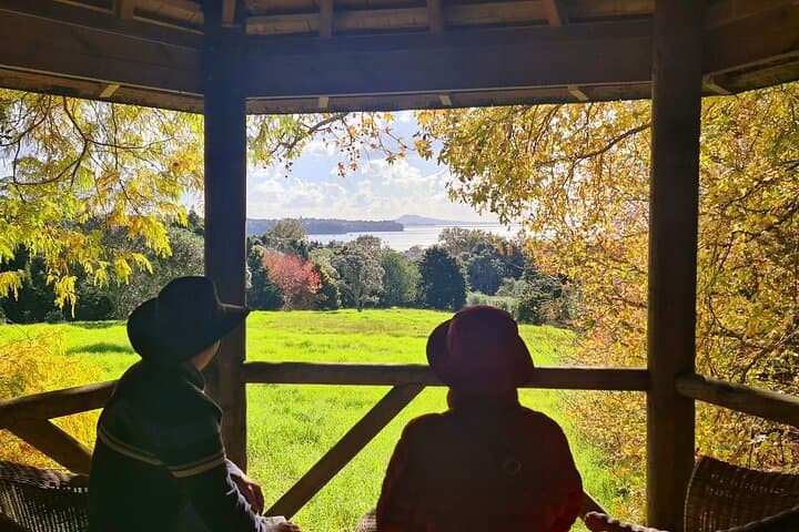Auckland Nature Tour