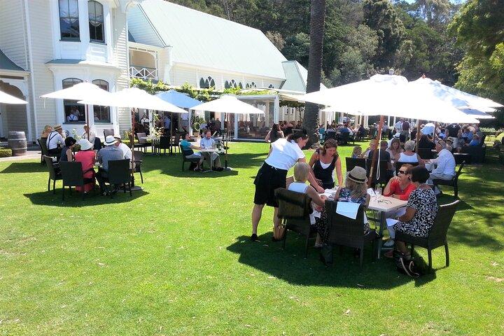 Napier : Dégustation de vin de l'après-midi + visite des Chocolats Silky Oaks