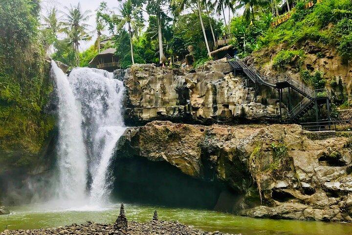 Excursão privada em Ubud: Monkey Forest, Waterfall & Rice Terrace