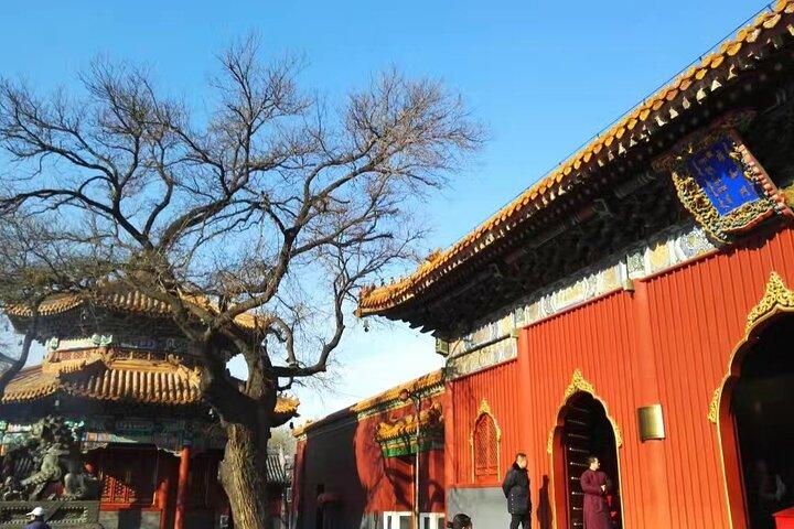 Private Layover Beijing Day Tour naar Summer Palace en Lama Temple
