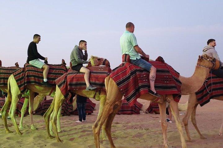 Privater Dubai-Sonnenaufgang mit Red Dune Bashing-Kamelritt