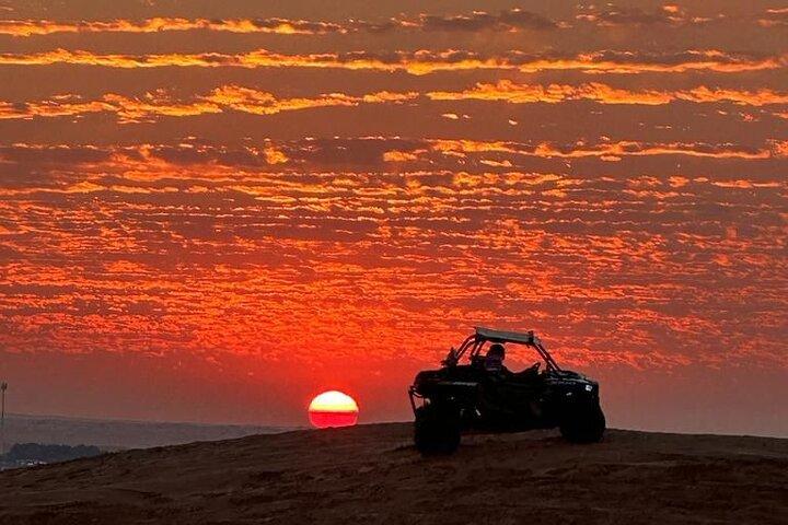 Woestijnsafari-dagtour in Dubai