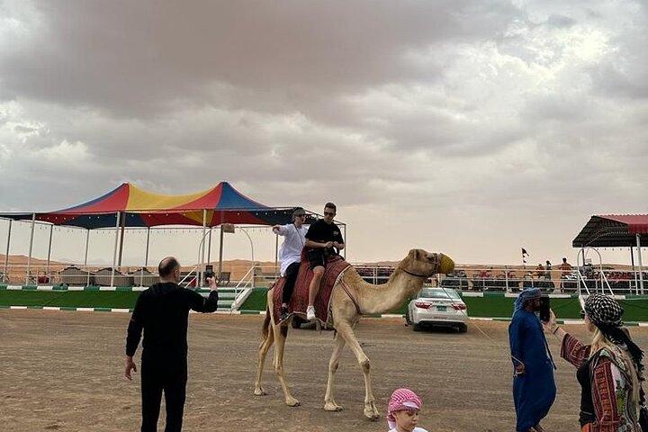 Woestijnsafari-dagtour in Dubai