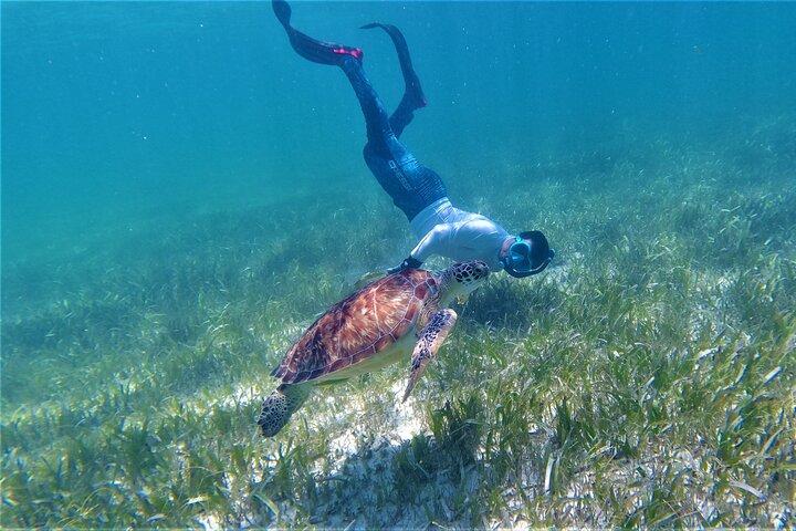 Excursion de plongée en apnée de 3 heures sur la Costa Maya - La Leyenda ECO-TOURS