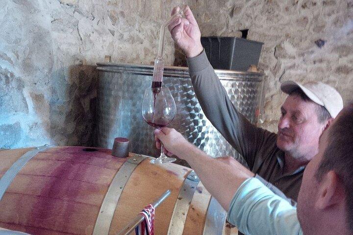 Zinfandel Wine Tour da Split
