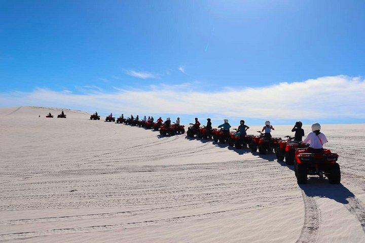 WILDX 60min Atlantis Dunes Cape Town QUAD BIKE ADVENTURE + PHOTO