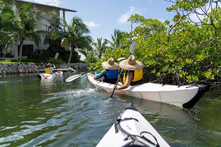 Small Group Glass Bottom Kayak Adventure - Ilhas Cayman