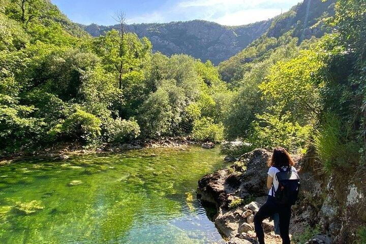 Halvdags privat tur i Skadar-søen