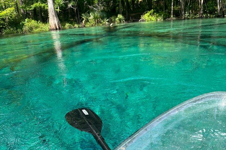 Cypress Springs Paddle Board & Kayak Eco Tour