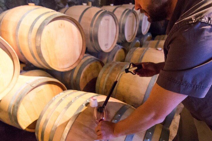 Uco Valley Wine Experience - Private - Die beste Weintour & Mittagessen