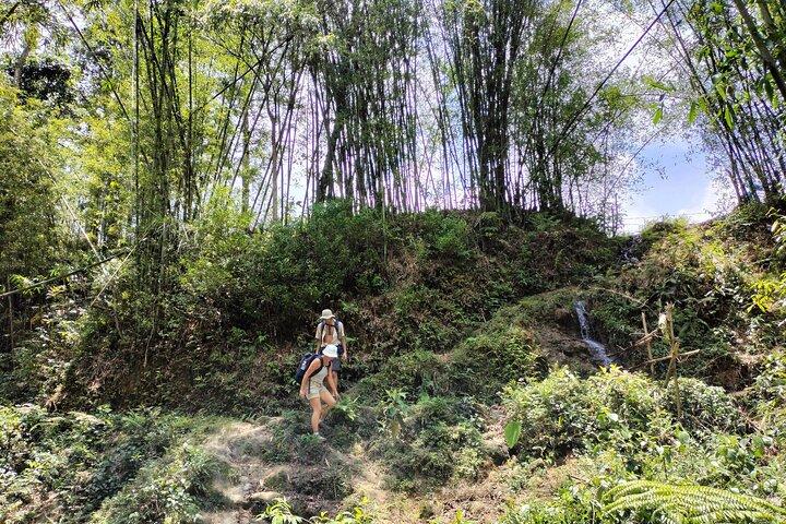 3-tägige Wanderung im atemberaubenden Muong Hoa-Tal und ethnische Gastfamilie