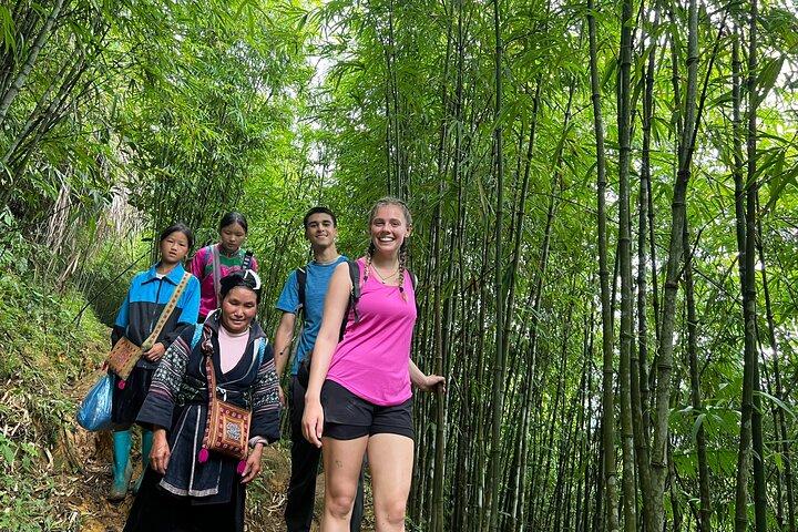 Dagstur: Sapa Trekking i Muong Hoa Valley, Bamboo Forest
