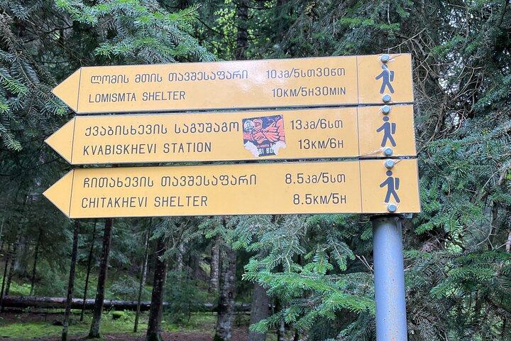 13 km Wanderung in Bordschomi – Gruppenreise ab Tiflis