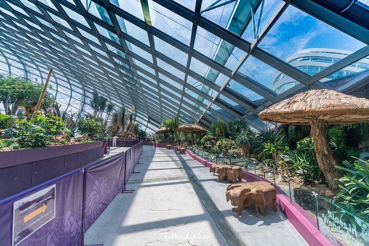 Gardens By the Bay Bilhete & Transferência