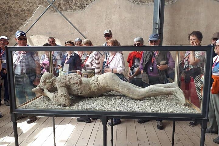 Guided Visit in Pompeii and Mount Vesuvius in Spanish and French